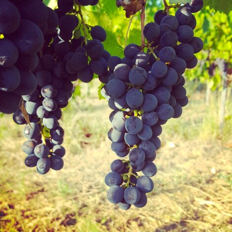 img_20200909_202238_151